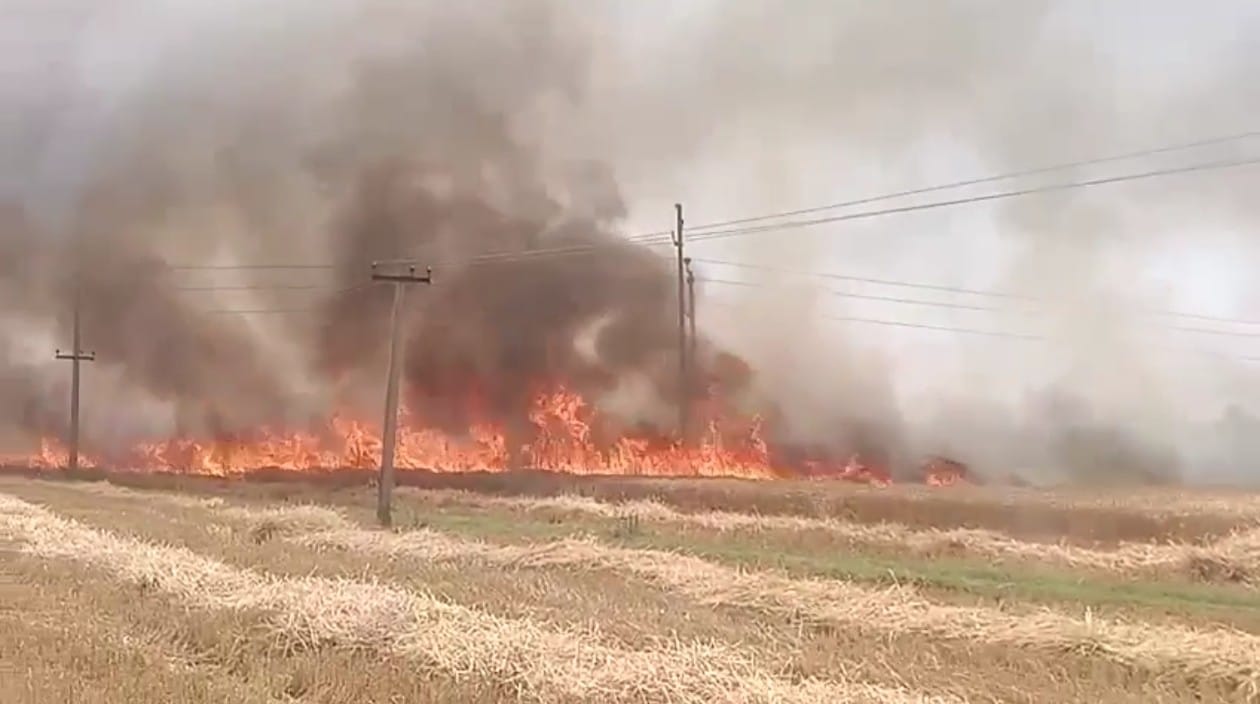 चंदौली से बिहार पहुंचा आग का कहर: 400 बीघे गेहूं की खड़ी फसल जलकर हुई राख, 24 घंटे के अंदर क्षतिपूर्ति दिए जाने के निर्देश…