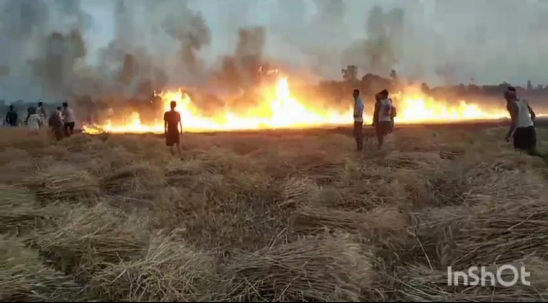 300 बीघा से अधिक गेंहू की फसल जलकर खाक, फायर ब्रिगेड पर फूटा ग्रामीणों का गुस्सा